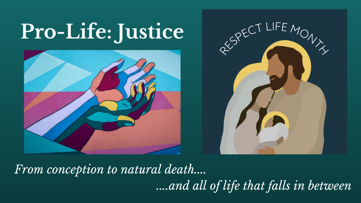 Pro-Life: a just economy