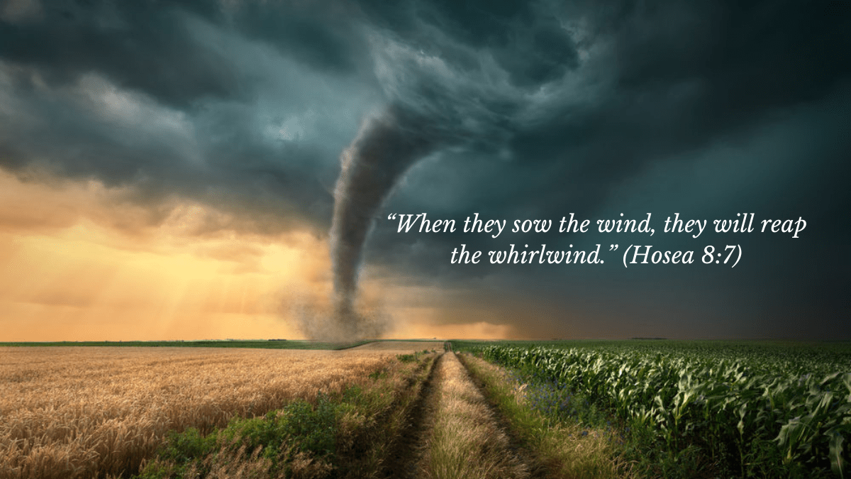 » Reap the Whirlwind