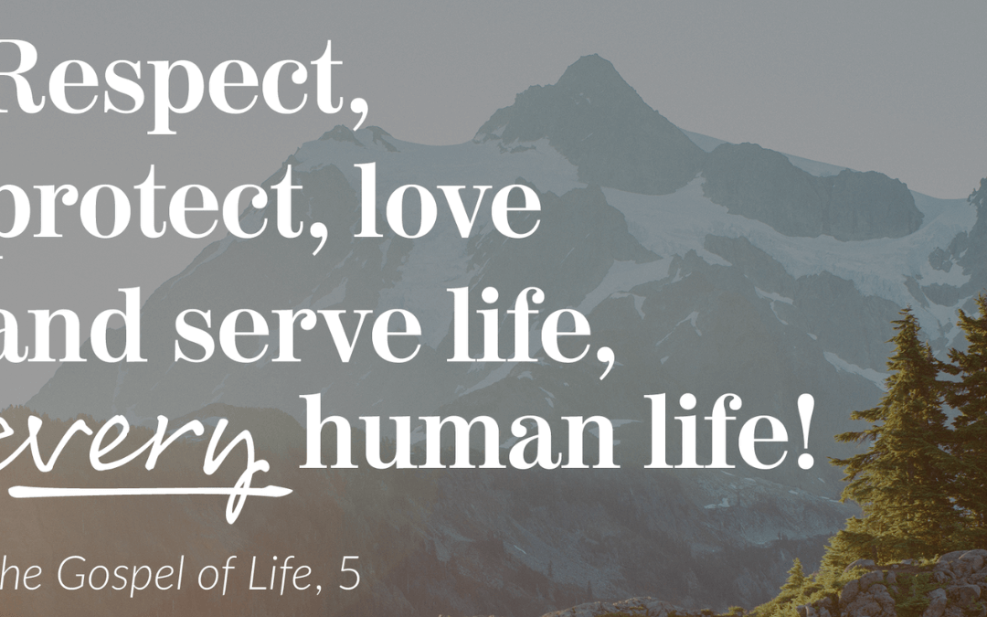 Respect Life Ministry – Time for a New Vision