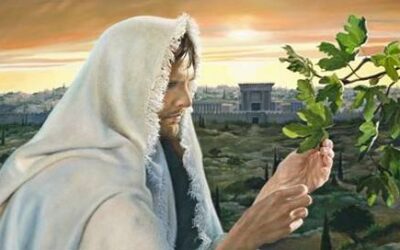 The Fruitless Fig Tree and the Cleansing of the Temple