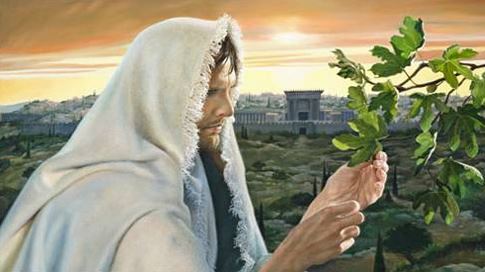 The Fruitless Fig Tree and the Cleansing of the Temple