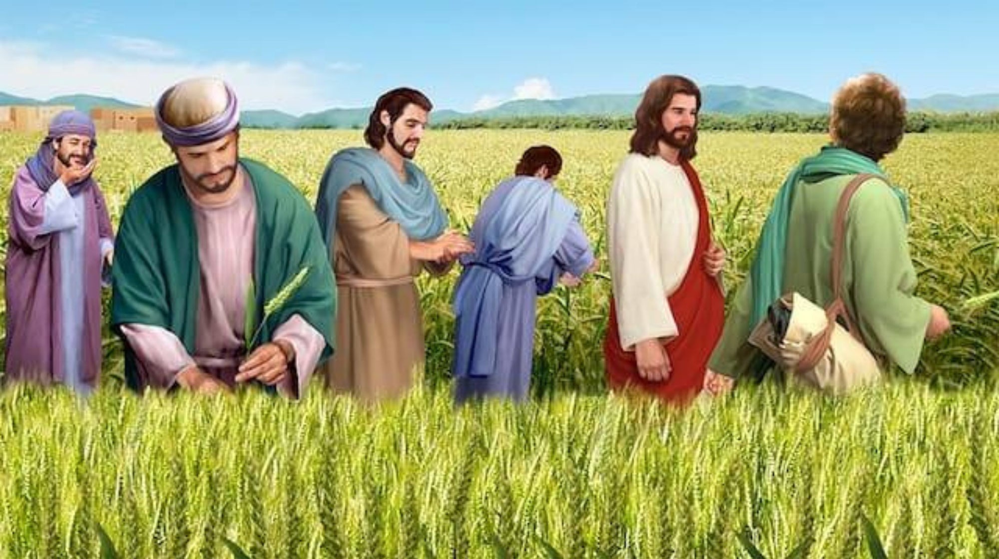 The Law and the Savior
