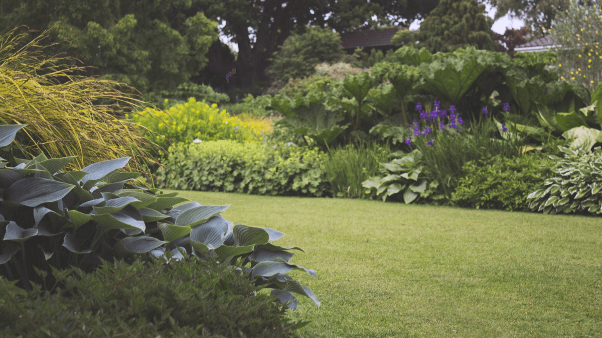 The Garden