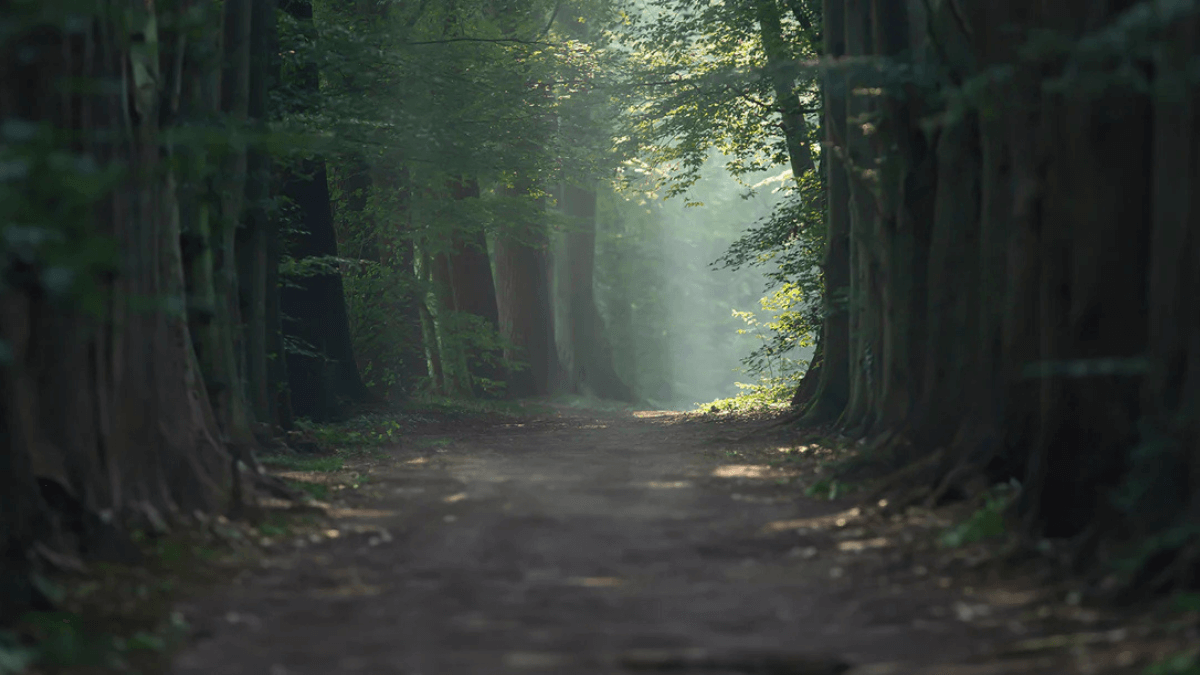 Lost along the way