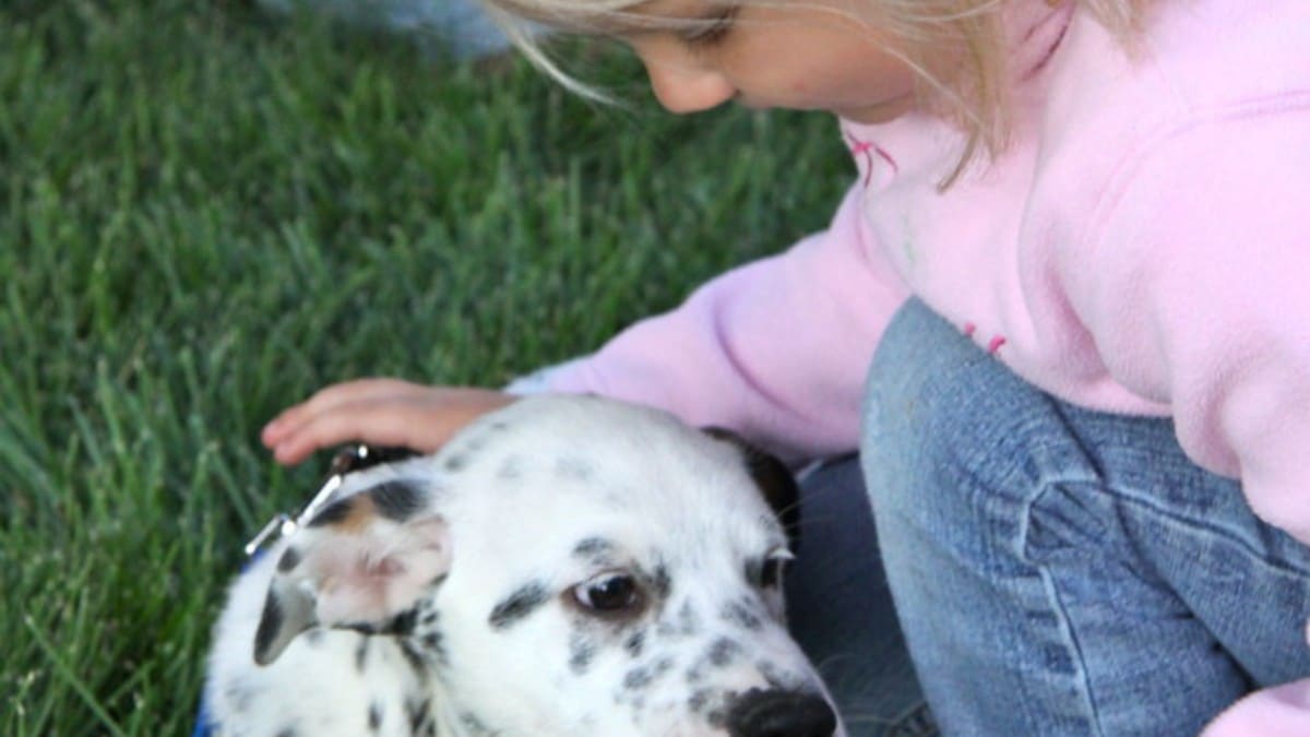 Children and Dogs