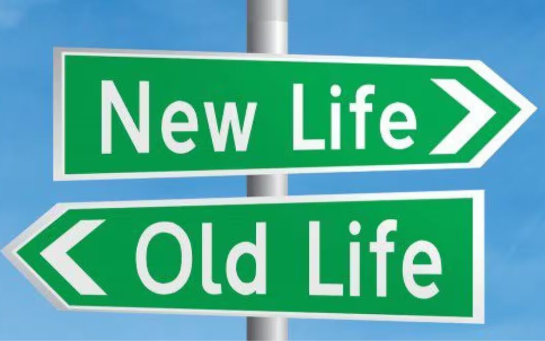 New Life