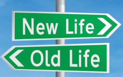 New Life