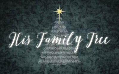 Family Stories