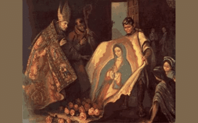 Evangelization With a Mother’s Caring Love