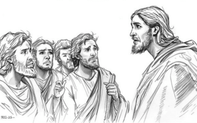 New Land – New Life