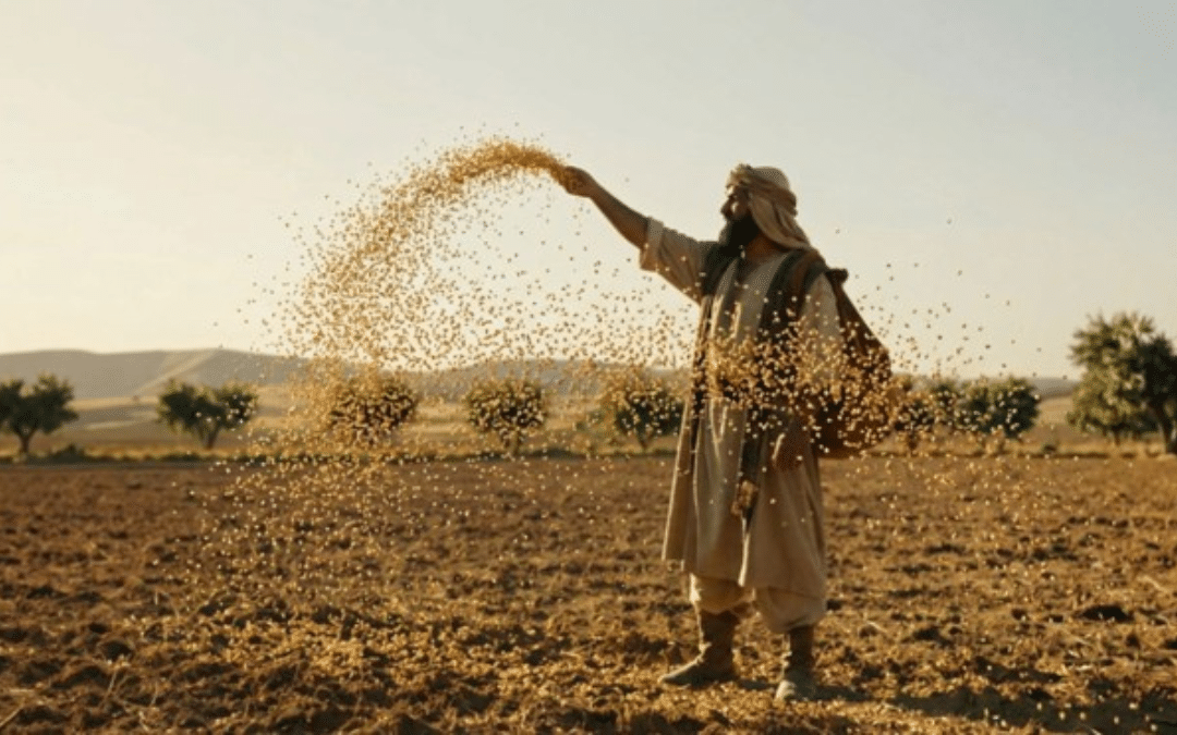 Being Seeds and Living in the Midst of Evil